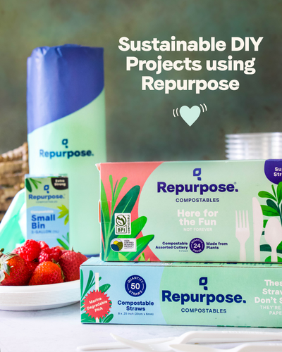 Sustainable DIY Projects: Creative Ways to Repurpose Products