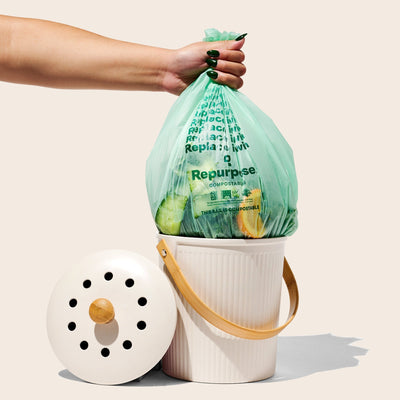 Compost Tech: How Apps and Smart Bins  Are Changing the Way We Compost