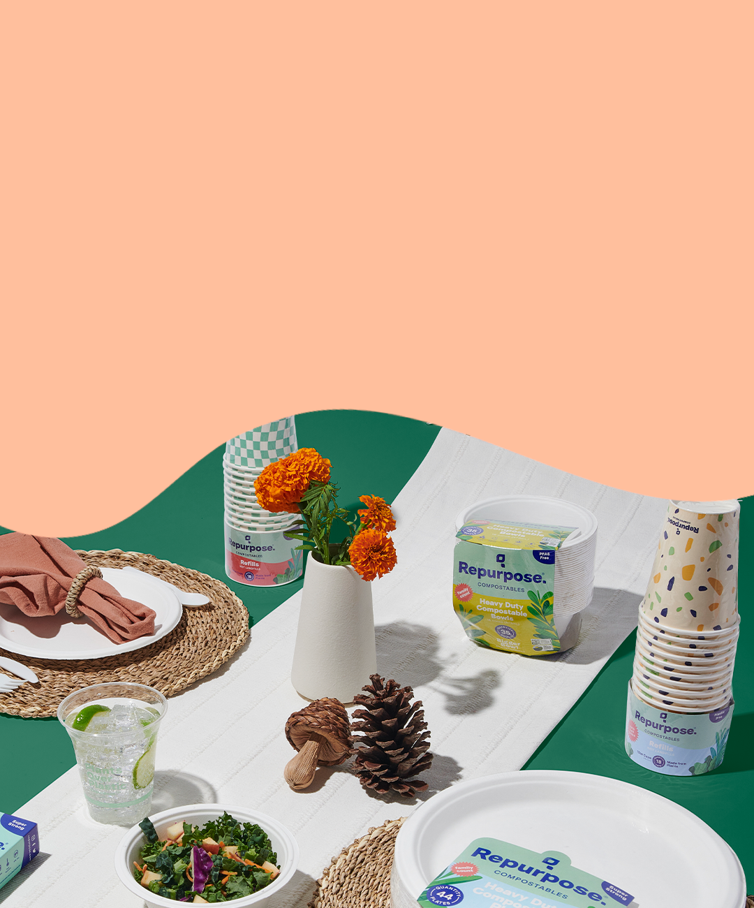 Compostable Single Use Everyday Products - Green Products That Work ...