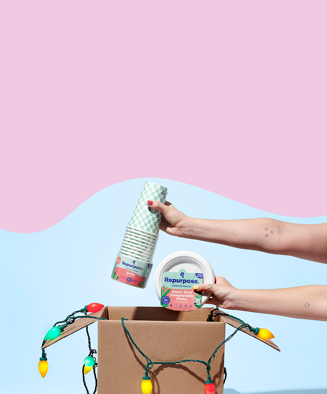 Compostable Single Use Everyday Products - Green Products That Work ...